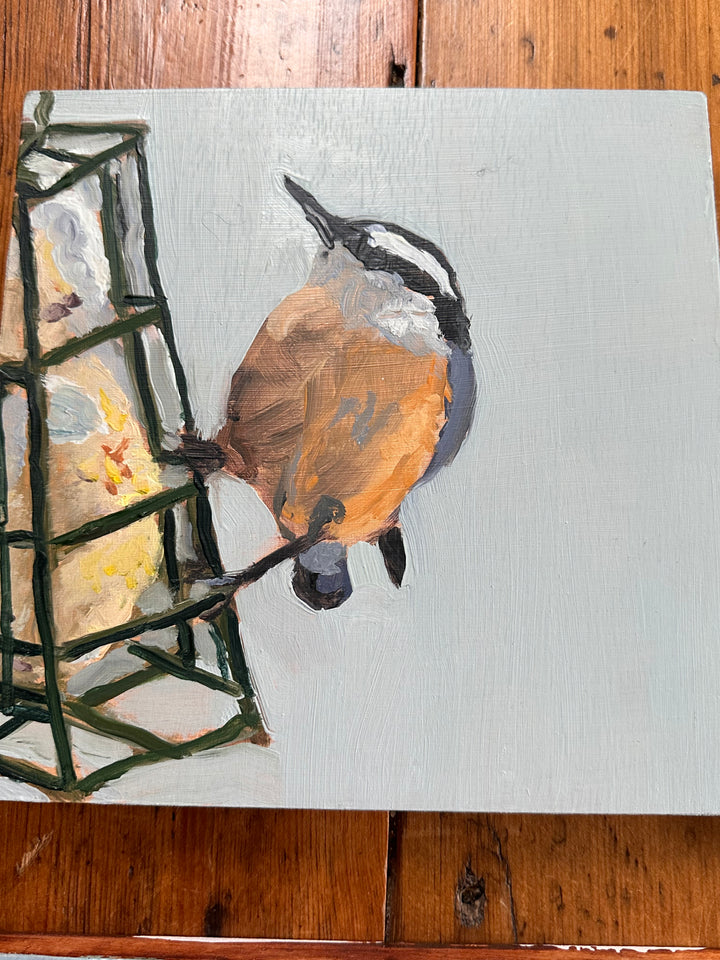 Derek Bell Painting Red Breasted Nuthatch