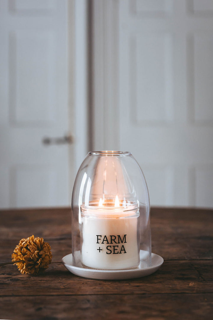 Cedar + Eucalyptus Candle, 14oz large jar