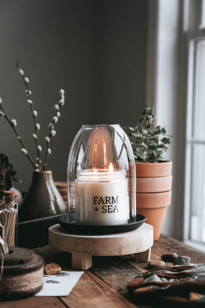 Garden Basil Candle, 14oz large jar
