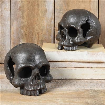Skull, No Jaw - Natural, cast iron
