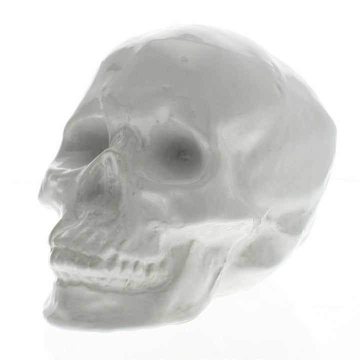 Ceramic Skull - White