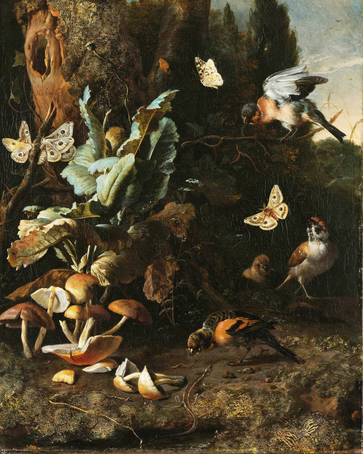 Mushrooms, Moths & Birds Cottagecore Painting Print Canvas