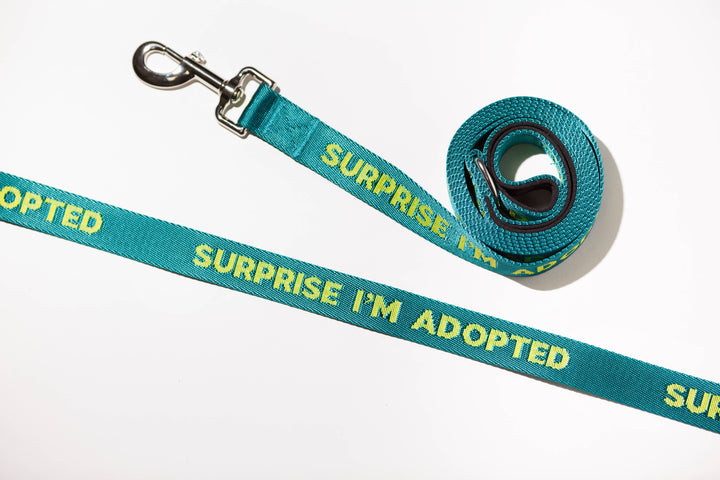 Surprise Adopted - Dog Leash
