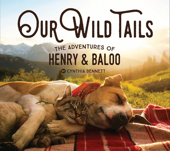 our wild tails book cynthia bennett