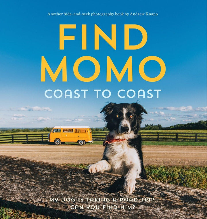 find momo coast book