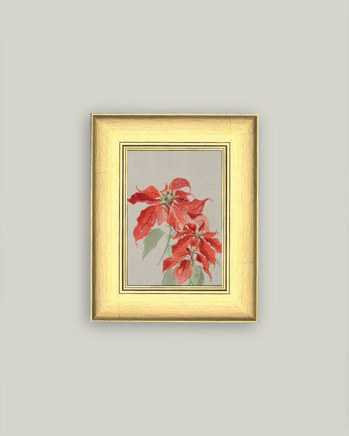 Poinsettia Framed Antique Art