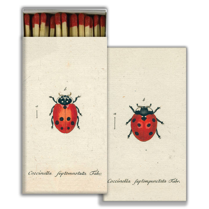 Little Lady Bug & Red Lady Bug - Red Matches
