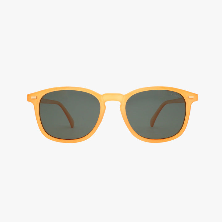Bean polarized sunglasses, honey