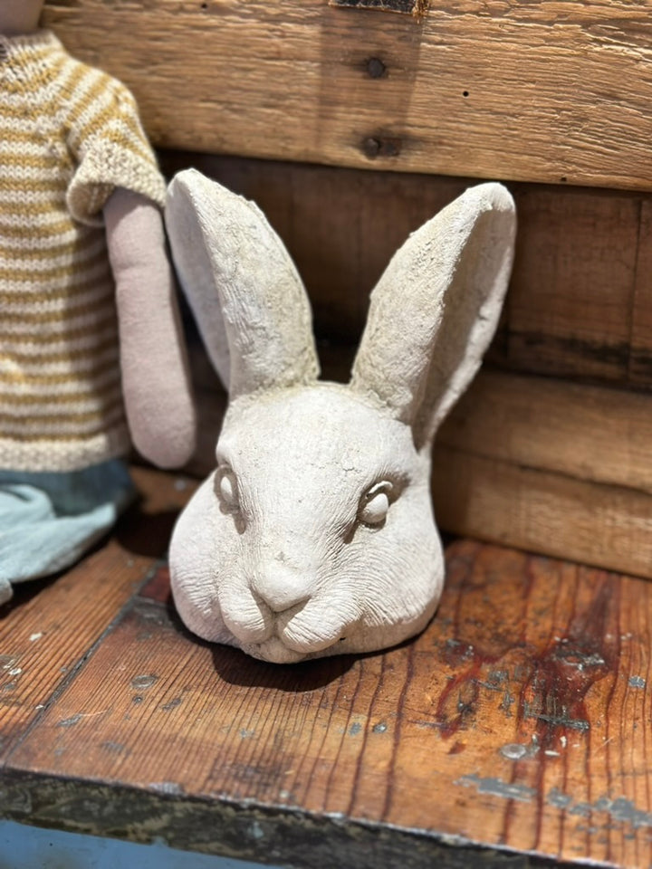 Rabbit Head