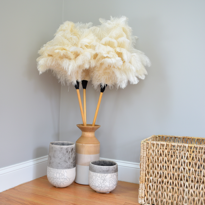 large feather duster