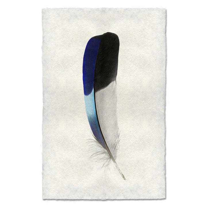 Lilac-Breasted Roller 20 x 30 , Nepalese Handmade