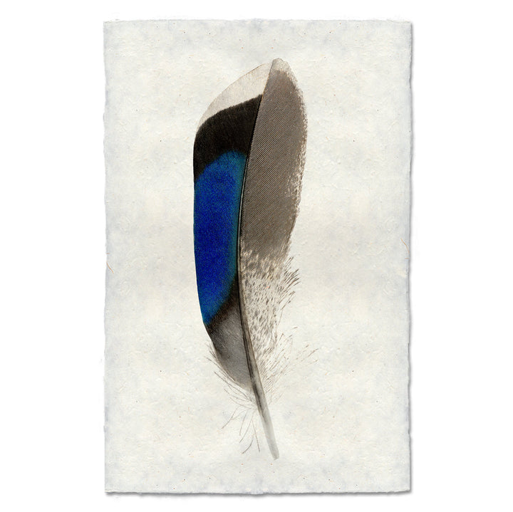 MALLARD DUCK, 20 X 30, Nepalese handmade