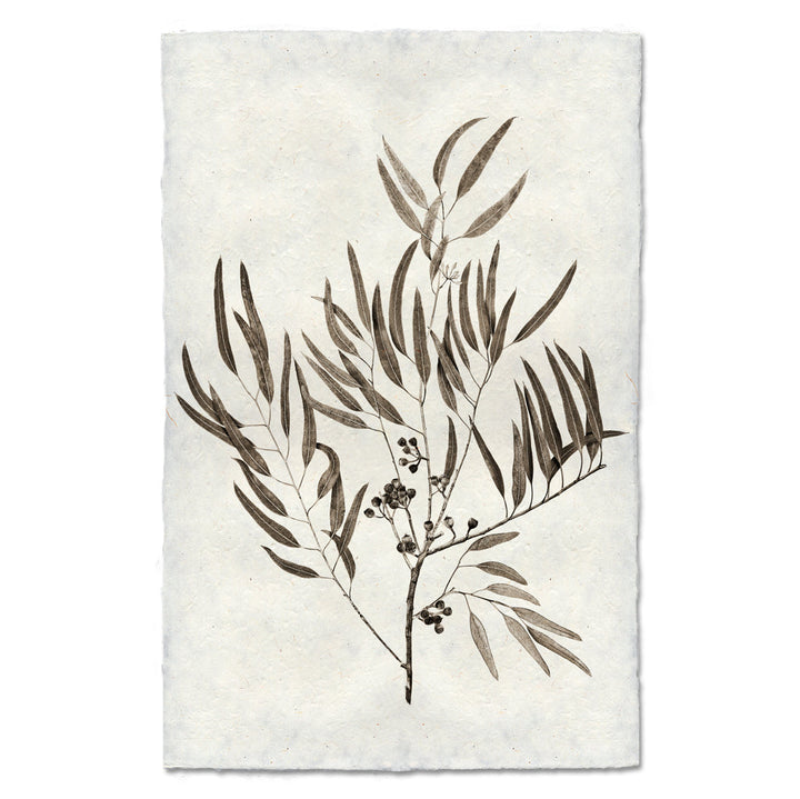 Eucalyptus #4, 20 x 30 , Nepalese Handmade