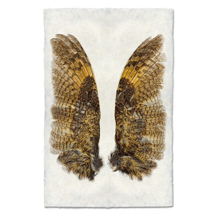 OWL WINGS, 20 x 30 , nepalese handmade