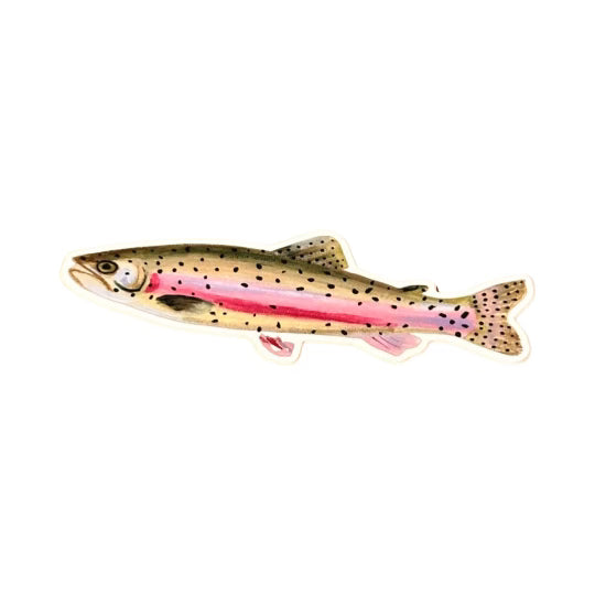 Rainbow Trout cutout sticker