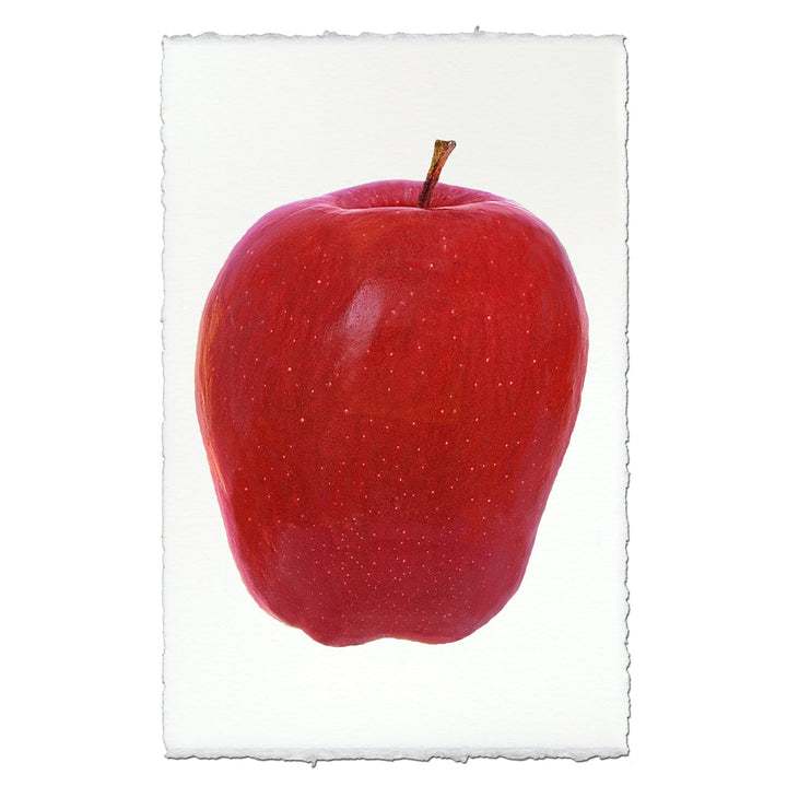 Red Apple, 20 X 30, Nepalese handmade