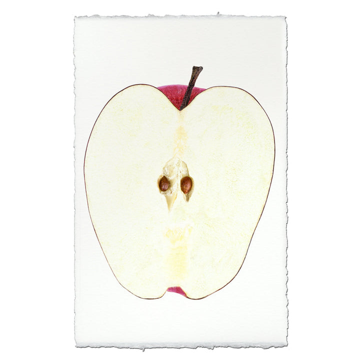 Red Apple Half, 20 X 30, Nepalese handmade