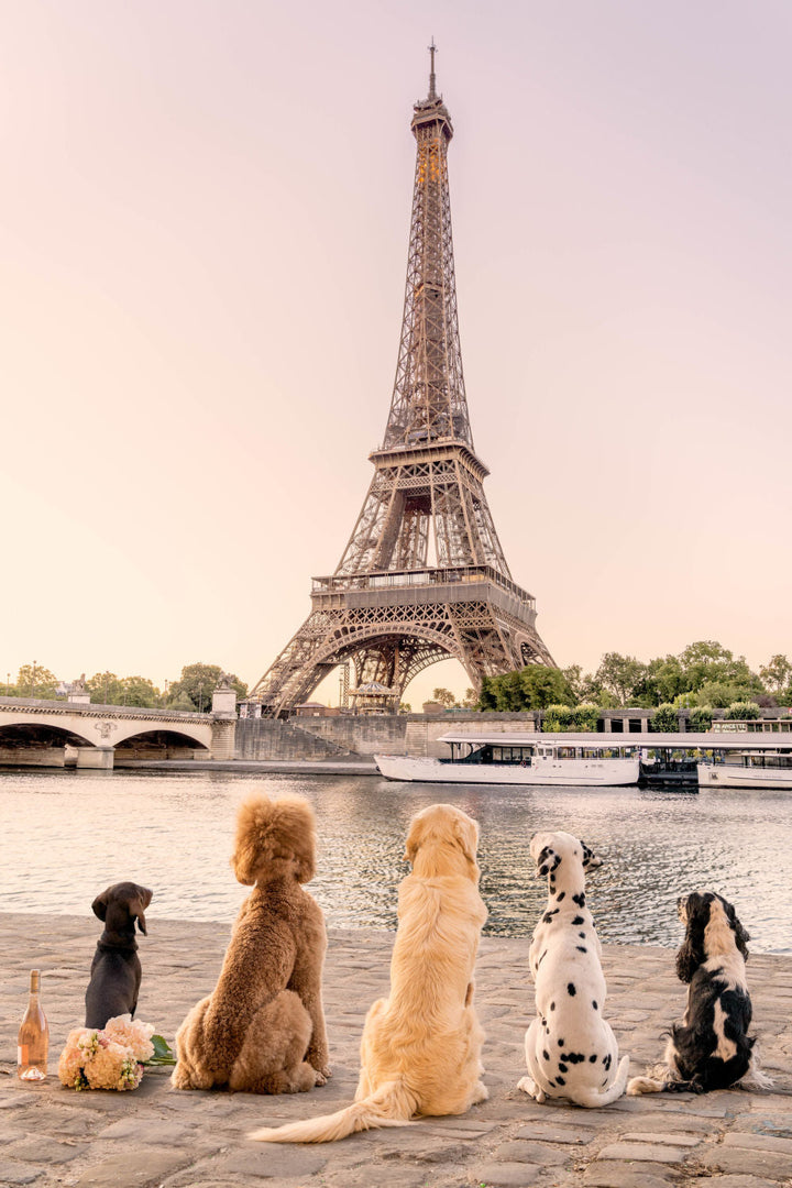 Gray Malin, Seine River Sunset Paris, mini, framed