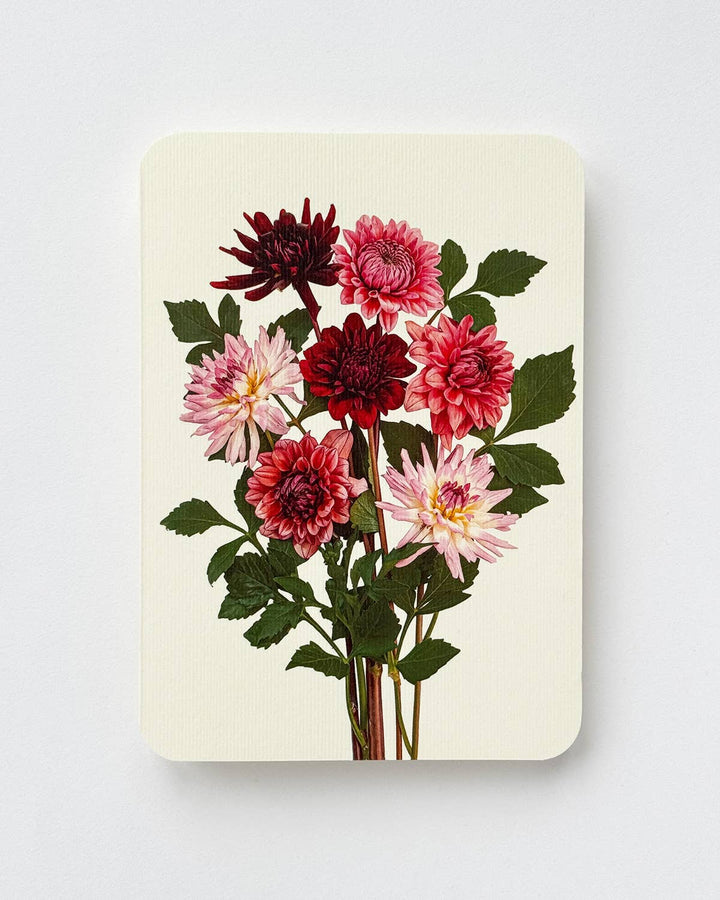 Garden Dahlias Greeting Card