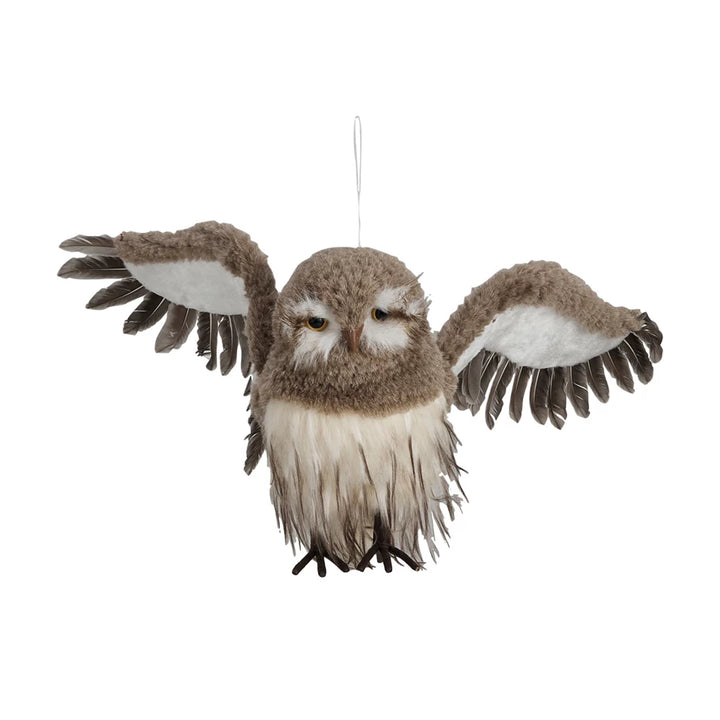 owl