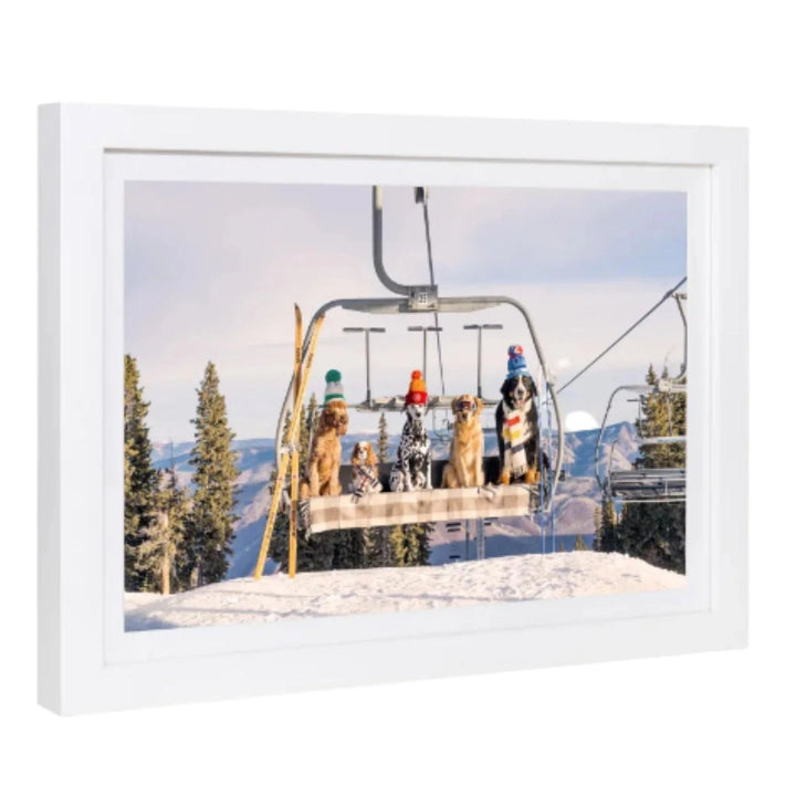 Gray Malin, Chairlift Pups in Aspen mini framed
