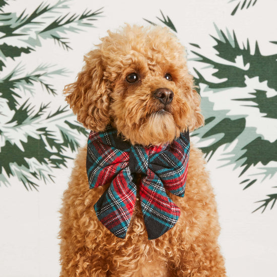 Georgia Plaid Holiday  Dog Bow, large