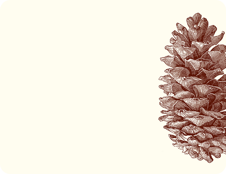 Pinecone A2 Notes