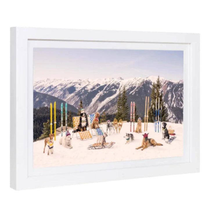Gray Malin, Dogs of Aspen, mini, framed