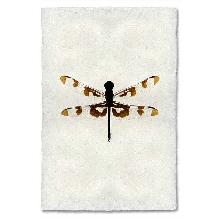 Dragonfly 20 x 30 , Nepalese Handmade