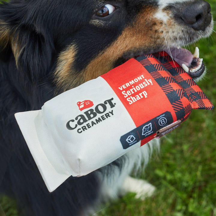 Cabot Creamery Seriously Sharp Dog Toy