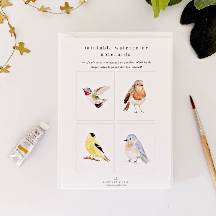 backyard birds paintable notecards