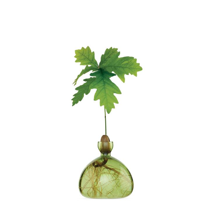 Acorn Vase, Grass Green