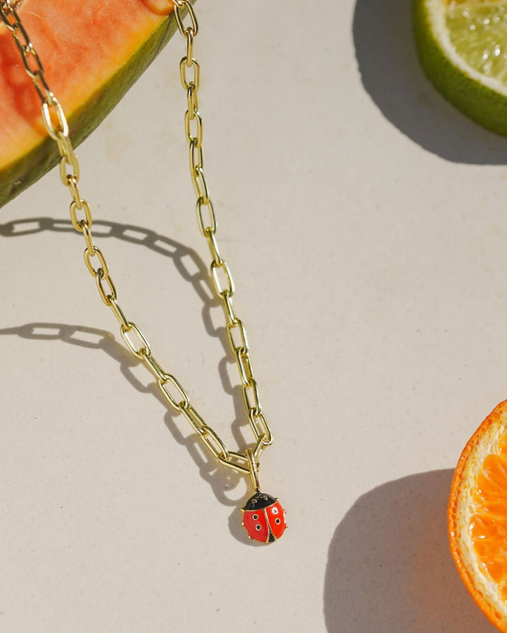 Ladybug Charm