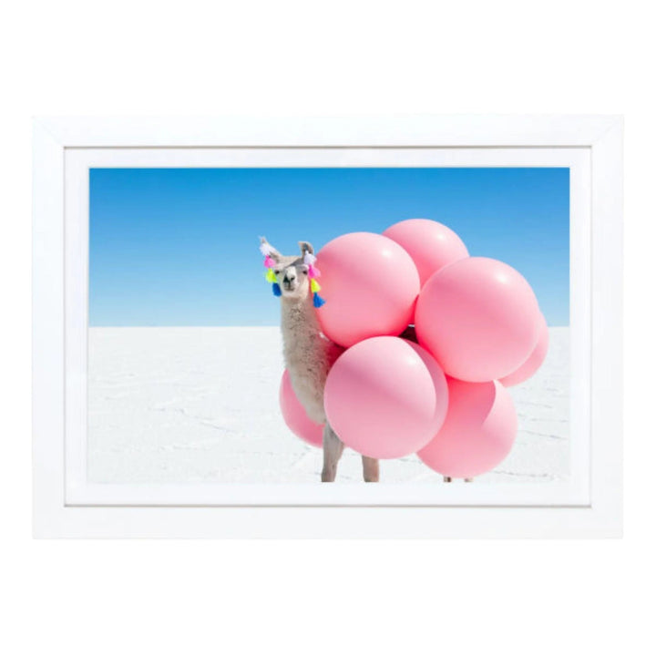 Gray Malin, Llama with Pink Balloons, mini, framed