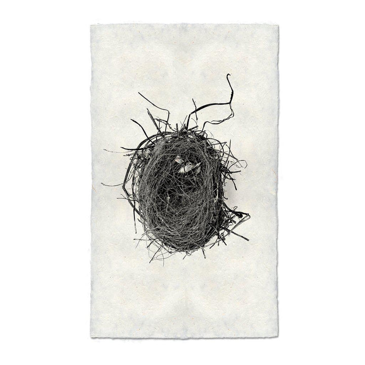 NEST STUDY #4, 20 X 30, Nepalese handmade