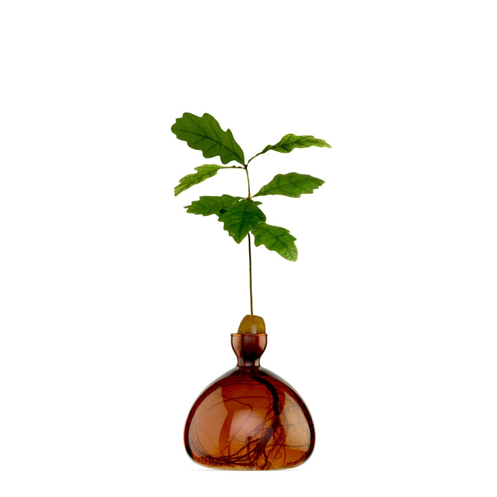 Acorn Vase, Russet Brown