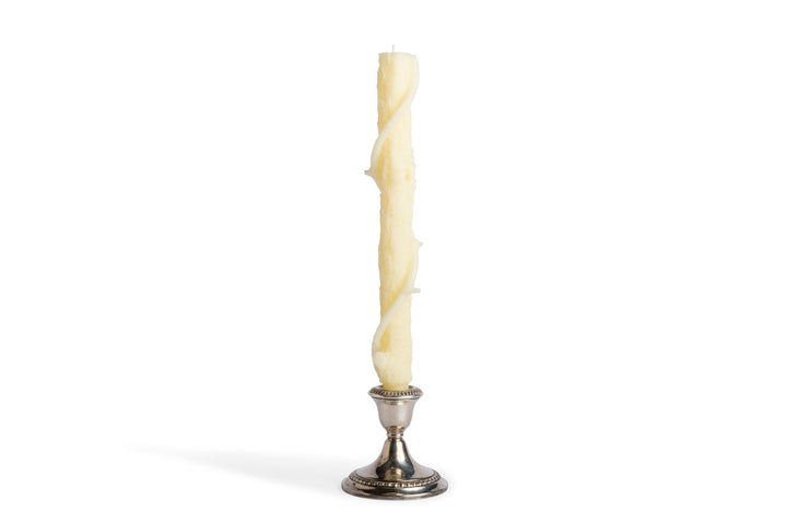 Bittersweet Oak Colossal Candle