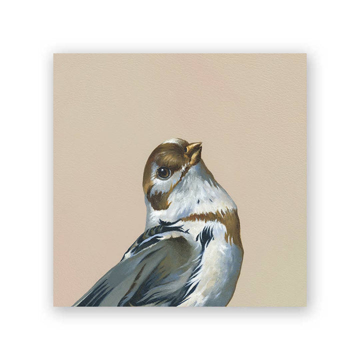 6 x 6  Snow Bunting Panel Wings on Wood