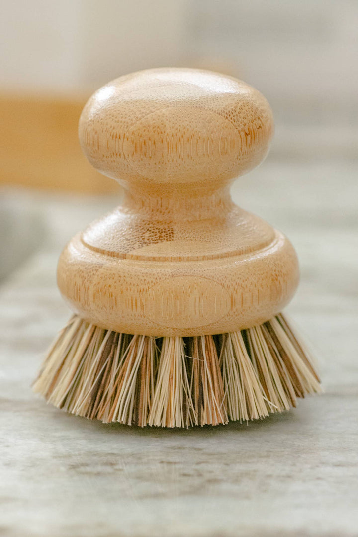 CASA AGAVE™ Pot Scrubber Brush