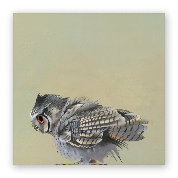 Scops Owl Panel Wings , on wood, 10x10