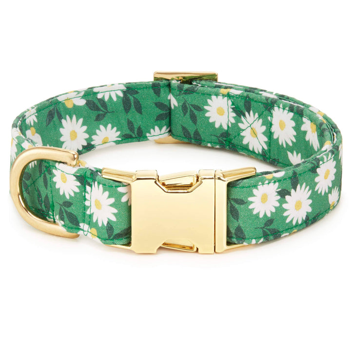 Coming Up Daisies St. Patrick's Day Dog Collar