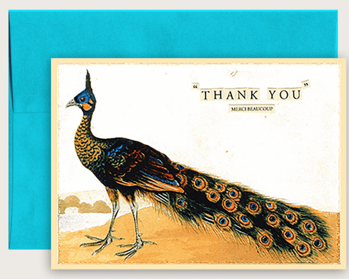 Thank You Peacock Folded Greeting Card