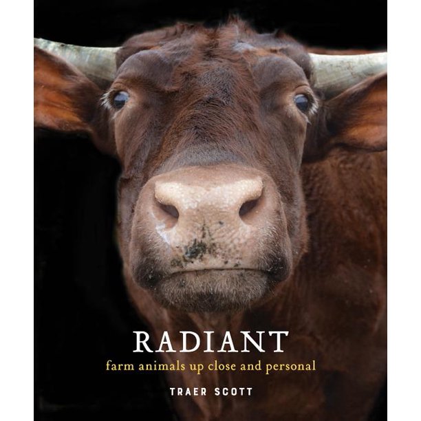 Radiant: Farm Animals Up Close and Personal