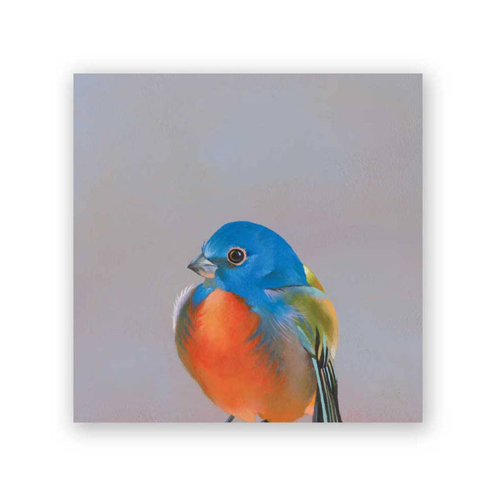Bluebird Panel Wings on Wood 6 x 6