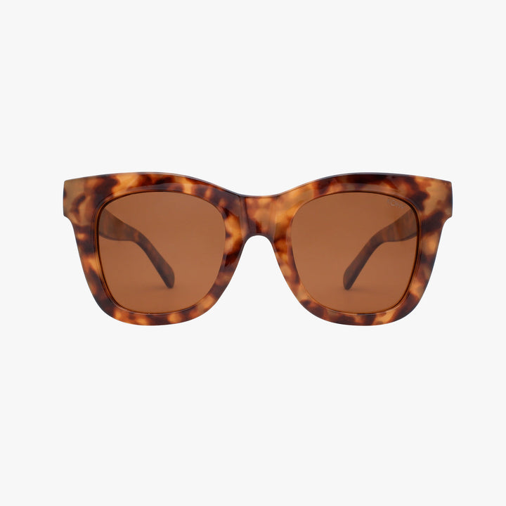 Bailey Sunglass, Amber Tortoise, polarized