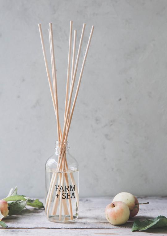 Grapefruit and Sea Salt, diffuser