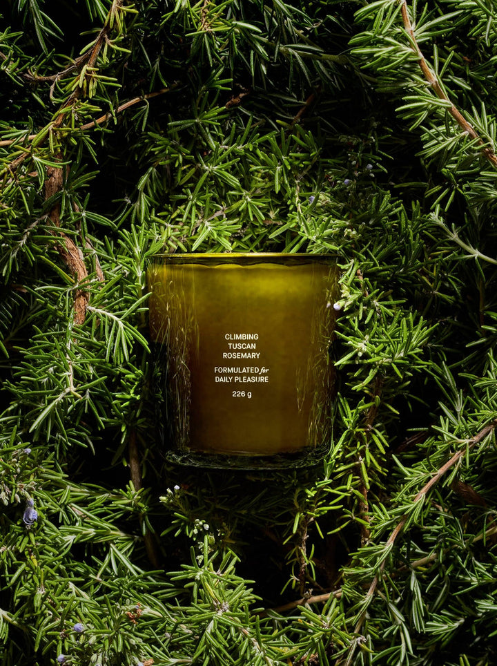 Climbing Tuscan Rosemary Candle, Flamingo Estate