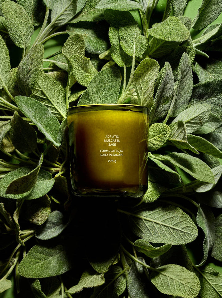 Adriatic Muscatel Sage Candle, Flamingo Estate