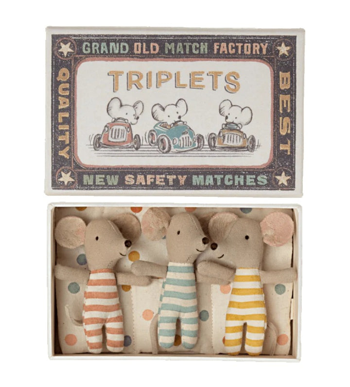 Triplets, Baby Mice in Matchbox