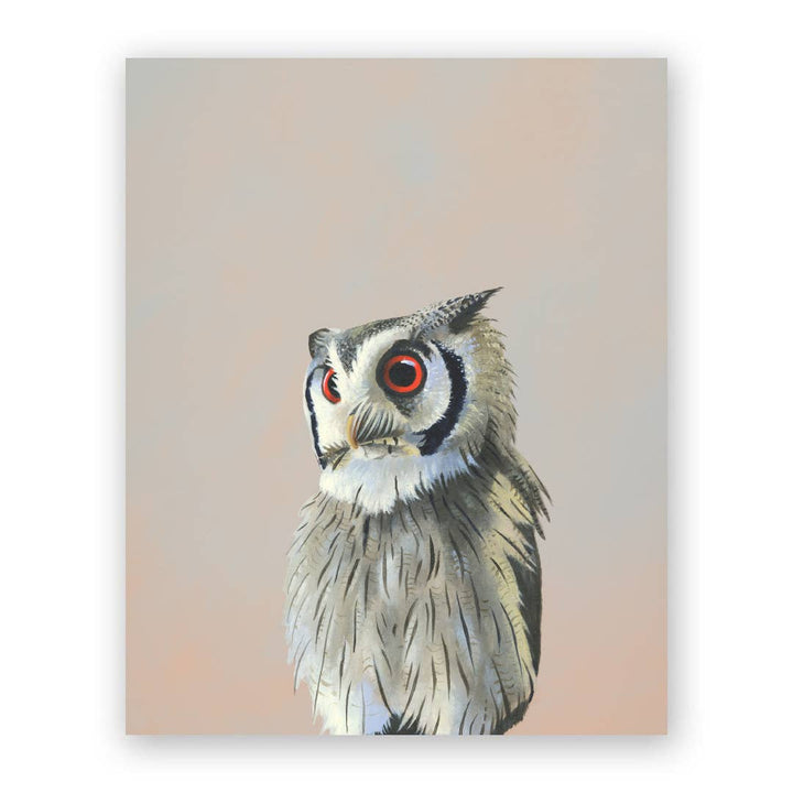 8 x 10 African Scops Owl Panel Wings on Wood